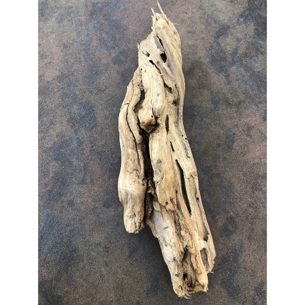 Natural Driftwood for Plants Terrarium Taxidermy Art Projects - Picture 4 of 7